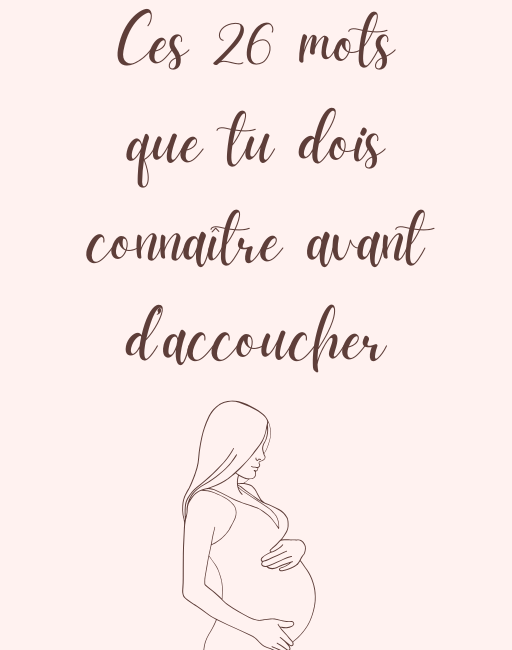 couverture ebook pdf gratuit avec un titre et une illustration d'une femme enceinte